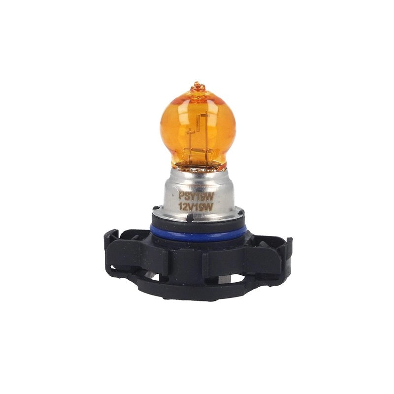 2 Lampade Alogene PSY19W 12V 19W PG20-2 Amber Compatibile con Philips 12274 5NAC1