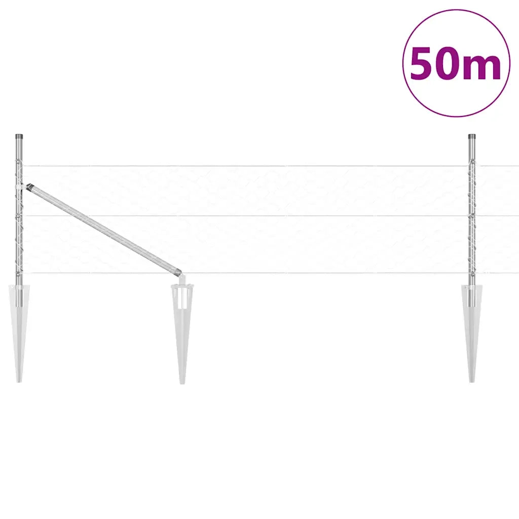 Palo della recinzione Argento 50 x 0,4 m (rete 50 mm) Acciaio