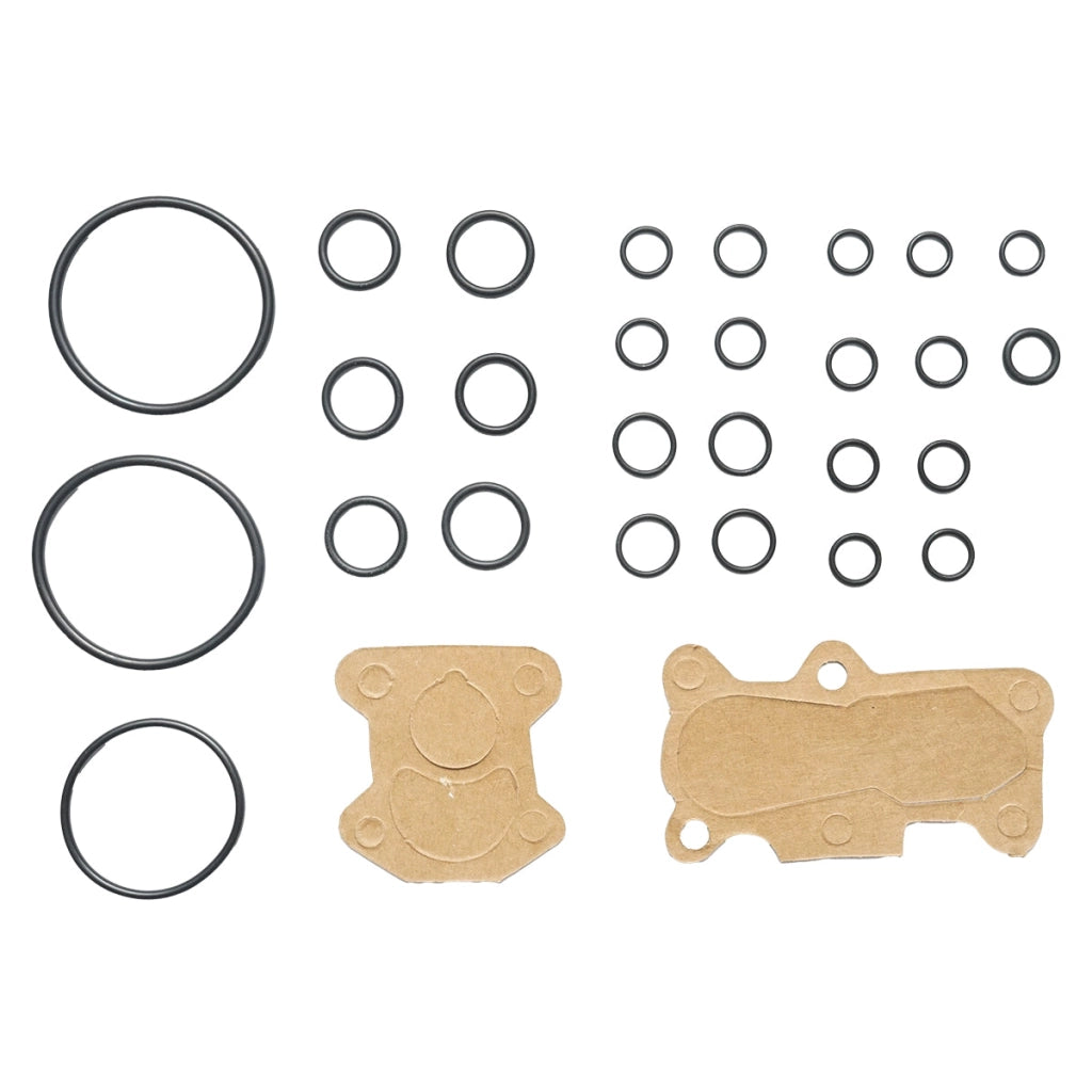 Set guarnizioni pompa idraulica Massey Ferguson codice OEM 1810467M91