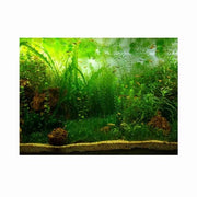 Decorazione per acquario 61 x 41 cm - Sostenibile - Autoadesivo - Resistente alla nebbia - Resistente alla luce - Design organico - Decorazione per acquario