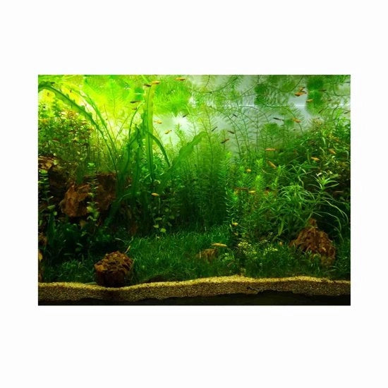 Decorazione per acquario 61 x 41 cm - Sostenibile - Autoadesivo - Resistente alla nebbia - Resistente alla luce - Design organico - Decorazione per acquario