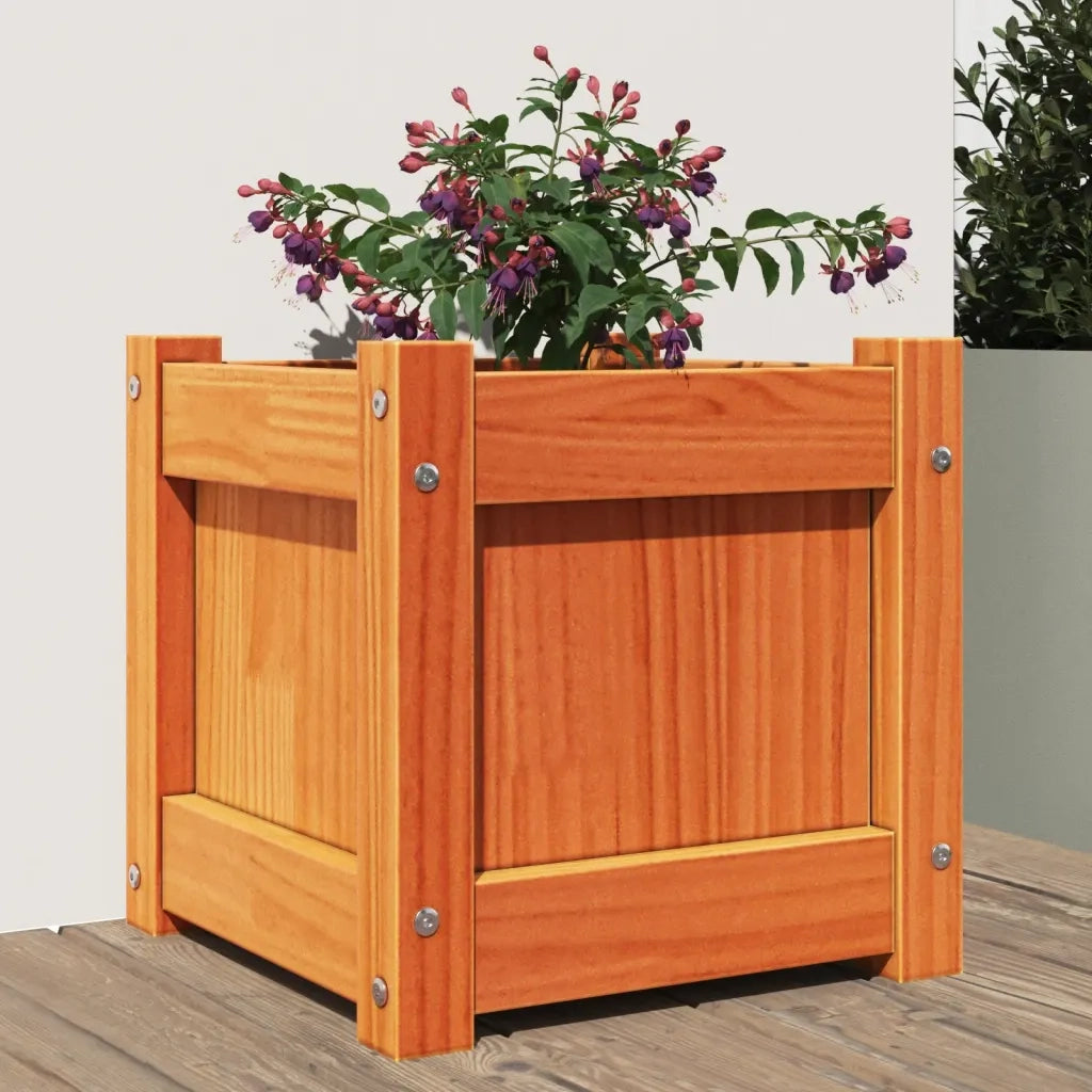 Fioriera | Cassetta per fiori | Vaso Giardino Marrone Cera 31x31x31 cm Legno Massello Pino