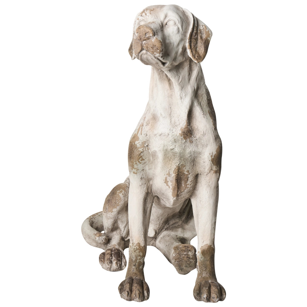 Statuetta decorativa da giardino cane in MgO beige 42 x 50 x 70 cm elemento decorativo per giardino terrazza e patio