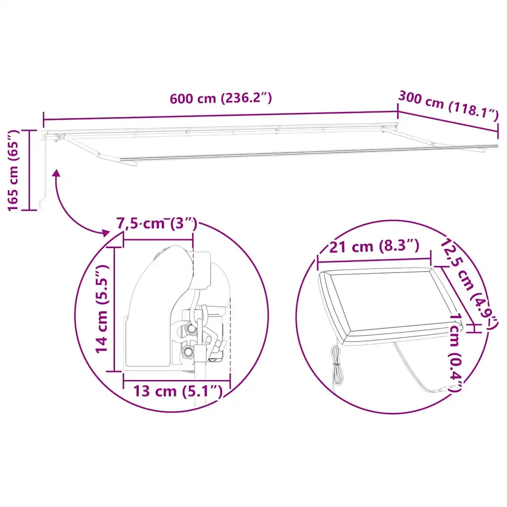 vidaXL Tenda da Sole con Antracite 6 x 3 m Metallo