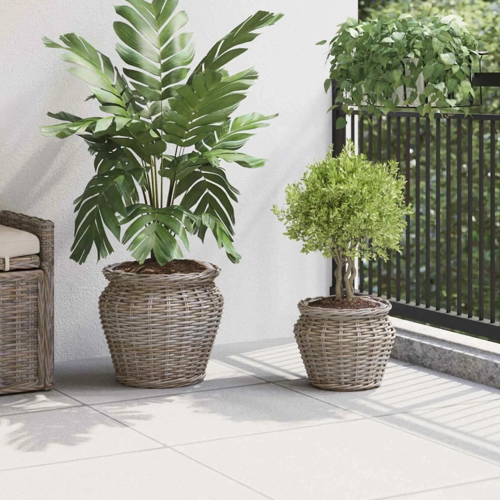 Cesto per Piante con archiviazione 2 pcs Grigio Rattan Lacak