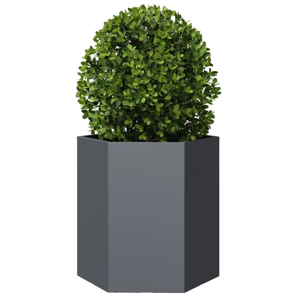 Fioriera da Giardino Antracite Esagono 46x40x45 cm in Acciaio