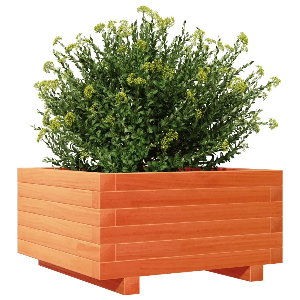 Fioriera Giardino Marrone Cera 50x50x26,5cm Legno Massello Pino 847295
