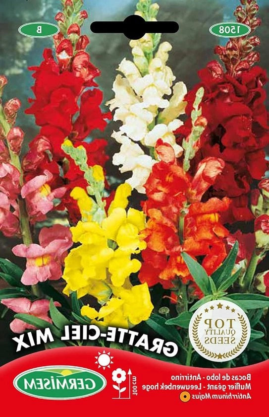Semi di Snapdragon Mix Grate-Ciel - 1 g