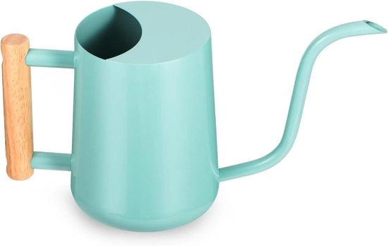 Giocatore di piante da appartamento 1 l - Piccolo giocatore di acciaio inossidabile per interni - Decorativo giocatore moderno con lungo scarico per piante da appartamento, bonsai e giardino