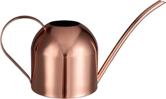 Giocello per piante da appartamento in acciaio inossidabile da 32oz/1L con lunga fuoriuscita.
