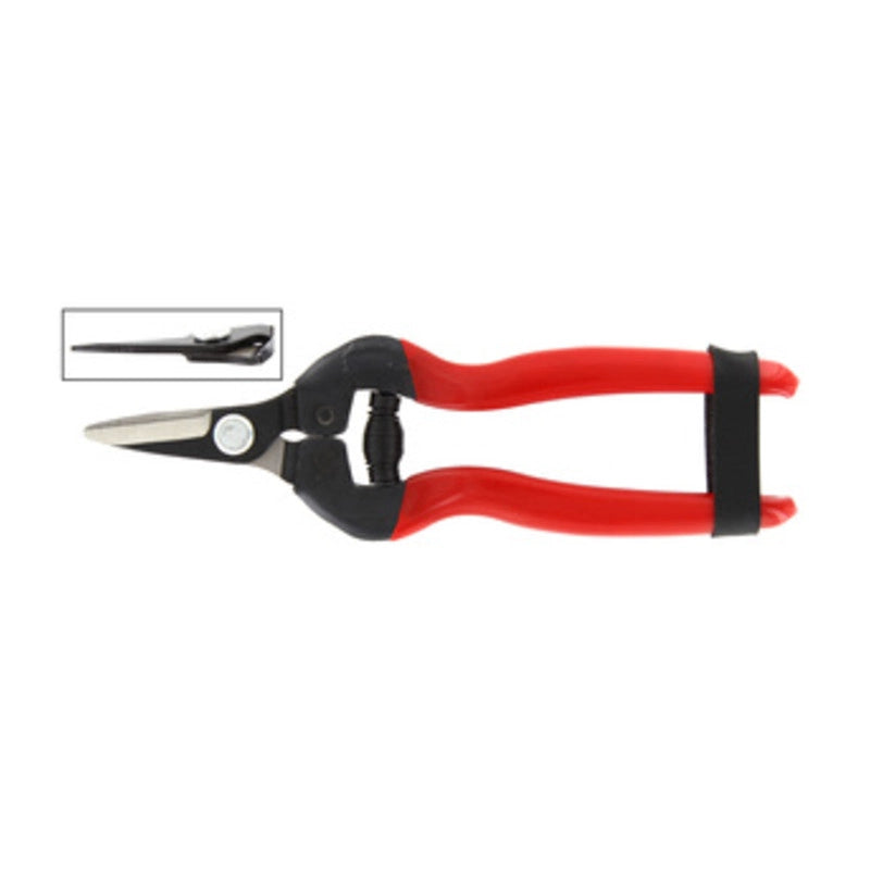 FORBICI P/UVA LAME DRITTE CORTE