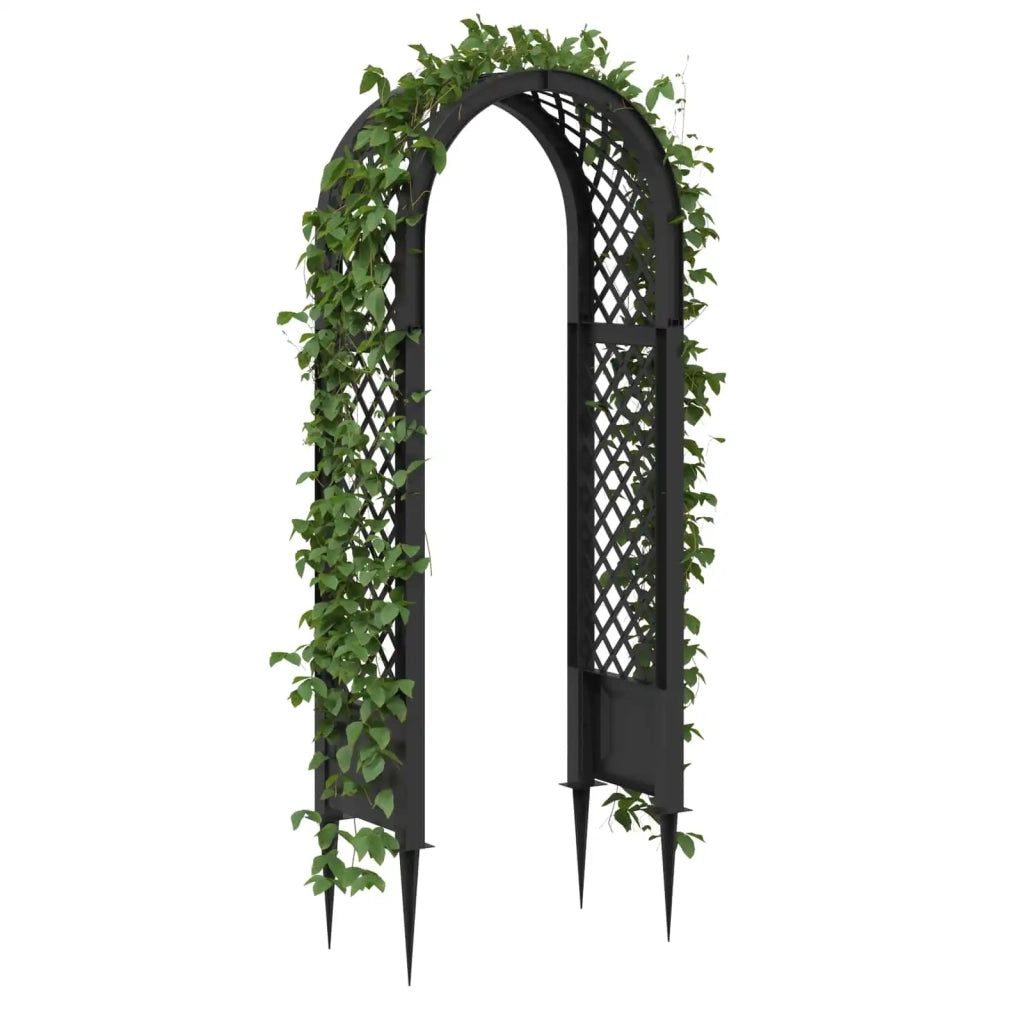 Arco di rose con punte Antracite 97 x 43 x 218 cm PP CFW5162863