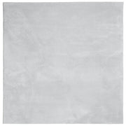 Tappeto del soggiorno | Tappeto a Pelo Corto HUARTE Morbido e Lavabile Grigio 160x160cm