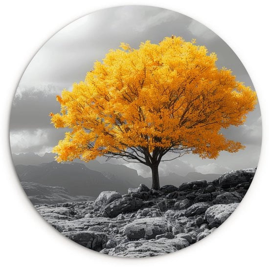 Decorazione per parete Ø90 cm - Decorazione murale - Arte - Natura - Forex di alta qualità - Facile da appendere - Decorazione per parete