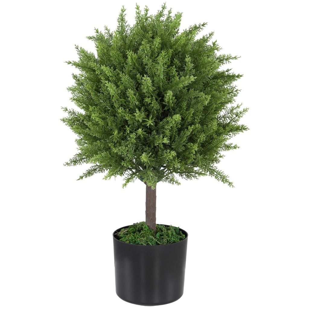 Albero di Cedro Finto ¨C Xylo ¨C 55 cm, Verde, con Vaso