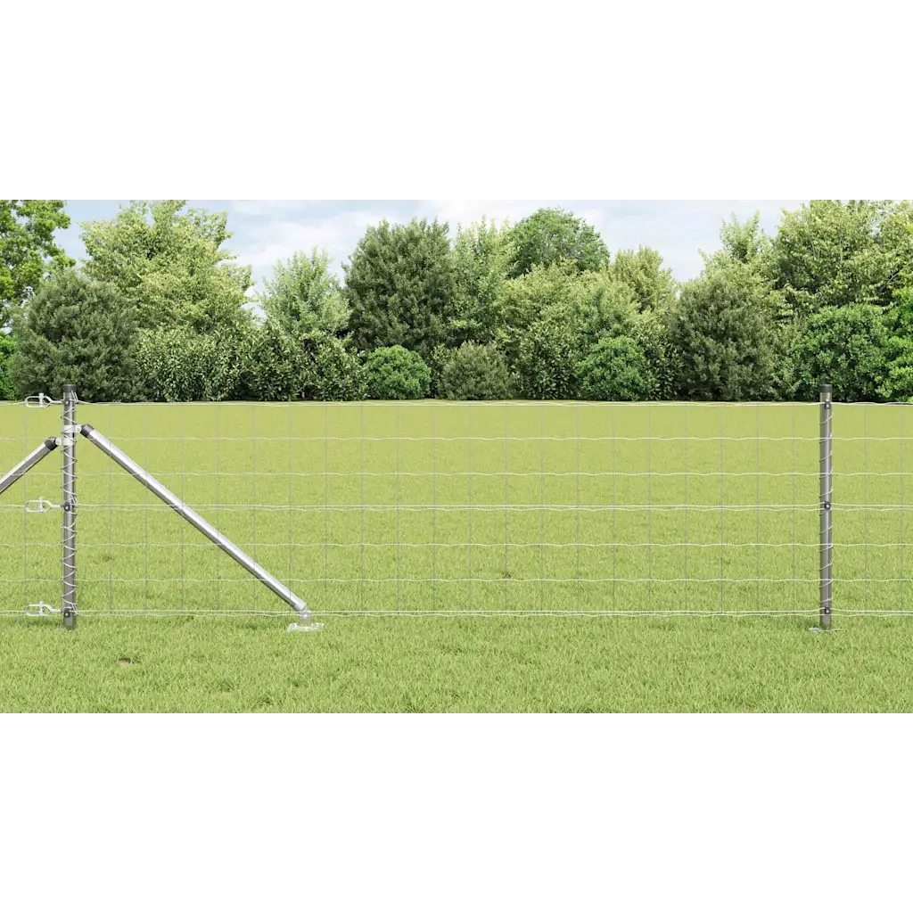 Recinzione con Posto Argento 0,8 x 25 m Acciaio