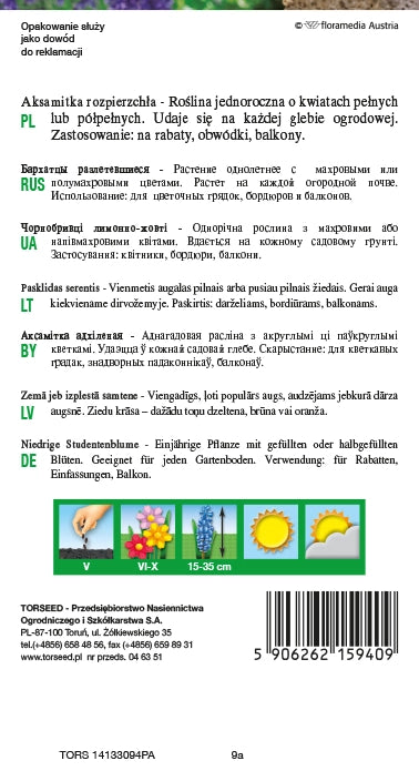 Tagetes che si allarga (basso) - Tagetes patula nana fl.pl. arancia 1g