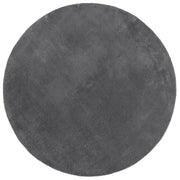 Tappeto del soggiorno | Tappeto a Pelo Corto HUARTE Morbido e Lavabile Antracite ?100cm