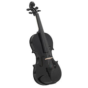 Set Completo Violino con Arco e Mentoniera Nero 4/4 CFW6933303
