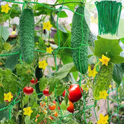Reticolo di Supporto di 2 x 2,5 m per Piante di Climazione in Giardino, Ideale per Pomodori, Cucuzze e Prodotti Ortofrutticoli con 50 Fili di Legatura Verde