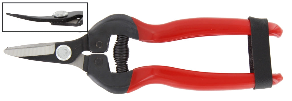 FORBICI P/UVA LAME CURVE PROF- 1,0 pz