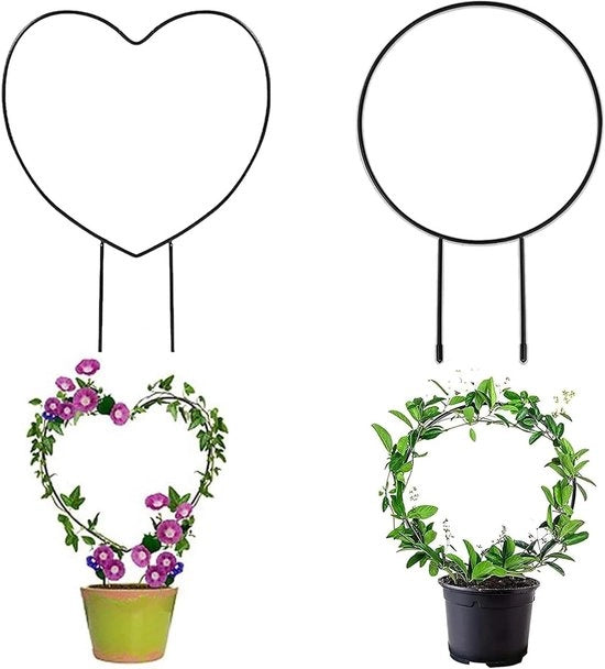 Supporto per piante per interni - Set da 4 pezzi - Design a forma di cuore rotondo - Adatto per la maggior parte delle piante da interno che si arrampicano