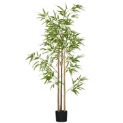 Pianta di Bamb¨´ Artificiale ¨C Xylo ¨C 180 cm con Vaso, Decorazione Realistica