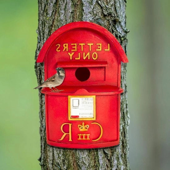 Cassa Postale per Uccelli - Boxe per Nidi Resistenti ai Meteori per Uccelli Selvatici, Boxe per Uccelli da Parete Resistenti per Decorazioni di Giardino - Nido per Ammettitori, Passeri e Robin per Esterni