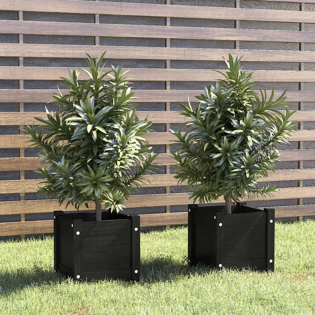 Fioriere da Giardino 2 pz Nere 31x31x31 cm in Massello di Pino 810531
