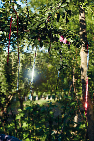 Rotolo Fettuccia Spaventapasseri 30m Rama