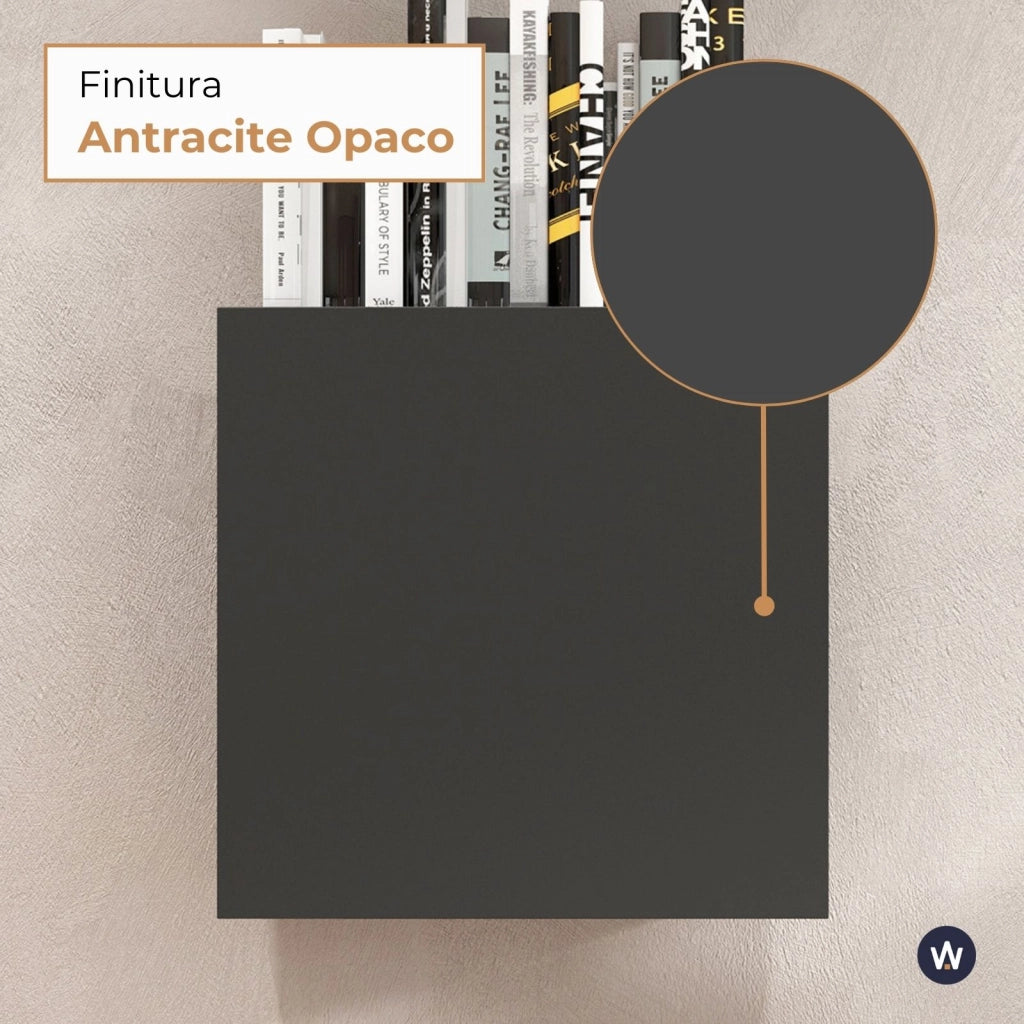 WHOUS Pensile a cubo Chronos con 1 anta antracite opaco 50x35x50 cm