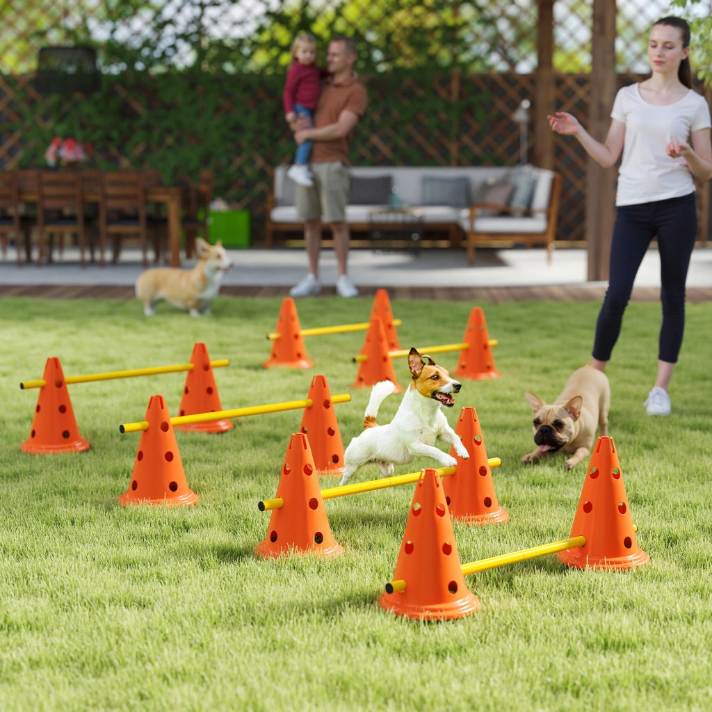 Set Agilit¨¤ per Cani 6 Pezzi con Sacchetto Trasporto ¨C zephmum ¨C Arancione