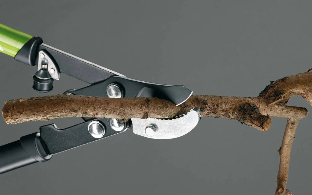 Troncarami per Potatura Alberi Rami Ø40 mm con Rinvio a Battente Rama