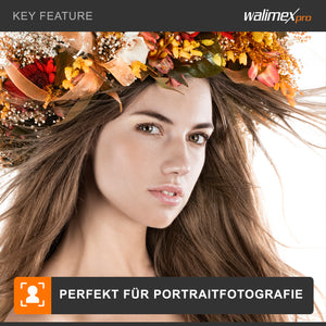 Set Softbox 50x70cm con 4 LED 35W, inclinazione di 135°, con diffusore, per illuminazione studio fotografico