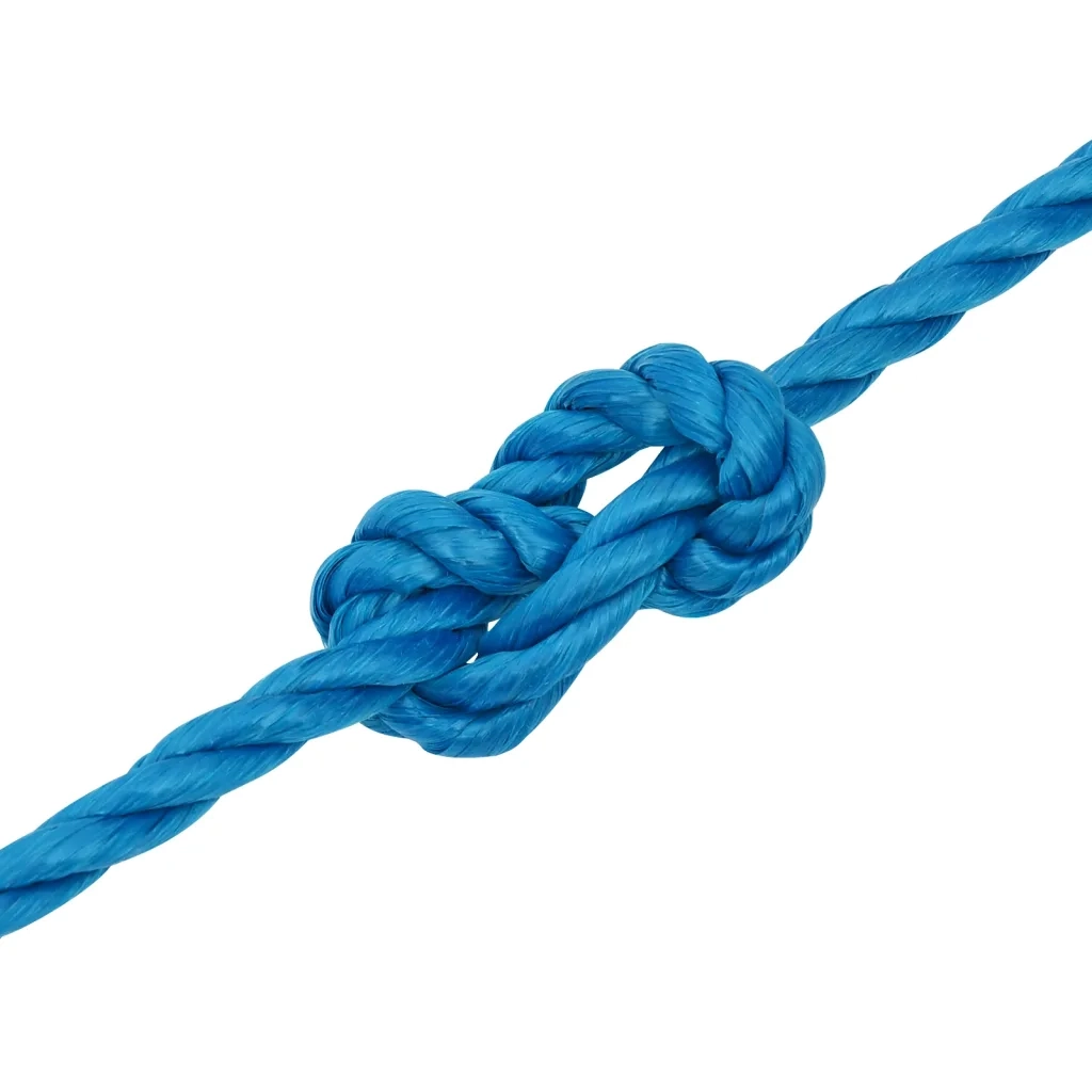 Corda da Lavoro Blu 12 mm 25 m in Polipropilene 152977
