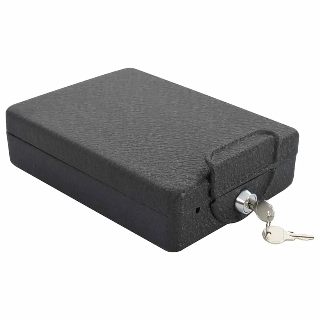 Cassaforte per Auto con blocco Nero 22 x 16 x 7 cm Acciaio CFW9225871