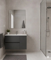 Mobile Bagno HEIMDALL Già Montato 2 cassetti e porta, lavabo e specchio Grafite 90x45 cm