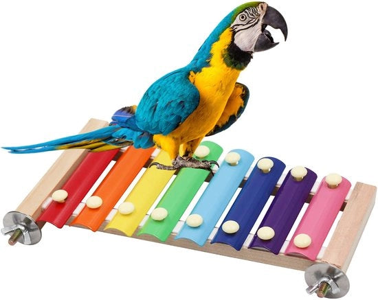 Xylofono Colorato per Bambini con 8 Tasti Metallici da Appendere, Accessori per Gabbia di Uccelli per Polli, Pappagalli e Piccioni.