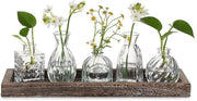 Set di Mini Vasi da Tavolo per Decorazione di Cucina: 5 pezzi di Mini Set di Vasi con Scatola in Legno per Decorazione di Salotto - Mini Vasi da Fiori in Vetro per Decorazione di Casa, Festa e Compleanno