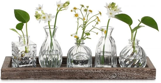 Set di Mini Vasi da Tavolo per Decorazione di Cucina: 5 pezzi di Mini Set di Vasi con Scatola in Legno per Decorazione di Salotto - Mini Vasi da Fiori in Vetro per Decorazione di Casa, Festa e Compleanno
