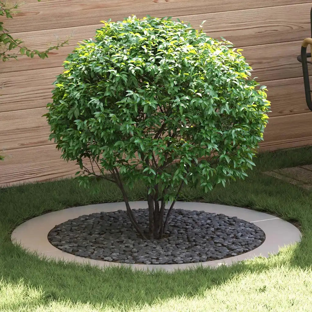 adatto per Anelli d'Albero Piatto 5 pz Argento ?90 / 120 cm CFW2790277