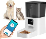 Cibo per Animali Domestici, Scatole di Cibo per Cani e Gatti