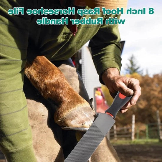 Raspatore per zoccoli con manico in gomma - Ideale per cavalli, pecore, bestiame e asini.