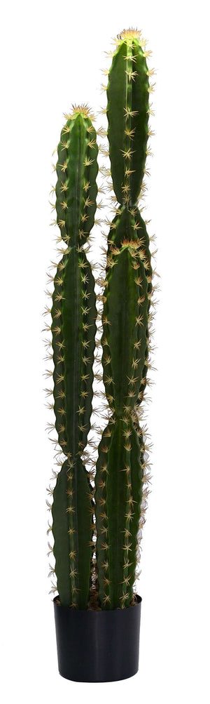 Pianta cactus Artificiale con vaso tondo cm Ø18xh124