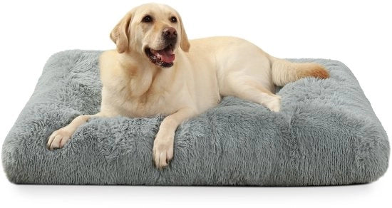 Letto per cani per grandi cani, lavabile, cuscino per cani morbido, 90x60cm, fondo antiscivolo, piuma per cani per grandi e medi cani, lettino per cani, materasso per cani, letto per animali domestici, colore grigio