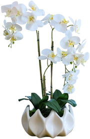 Orchidee artificiali come vere (70 cm) - Orchidee artificiali in vaso, realizzate a mano in Portogallo, con muschio, bambù e elegante ceramica, senza acqua, fiori artificiali bianchi come il vero in un vaso a specchio.