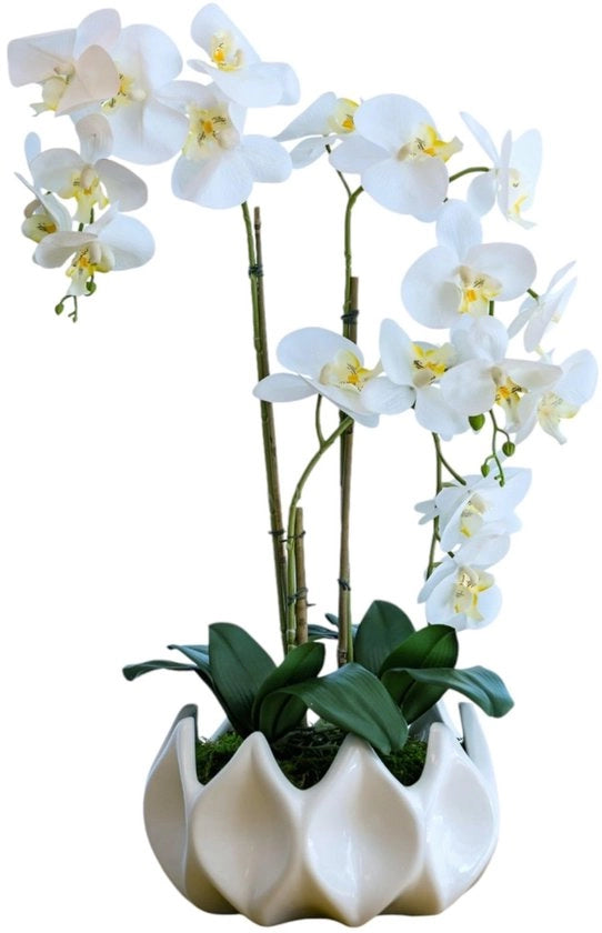 Orchidee artificiali come vere (70 cm) - Orchidee artificiali in vaso, realizzate a mano in Portogallo, con muschio, bambù e elegante ceramica, senza acqua, fiori artificiali bianchi come il vero in un vaso a specchio.