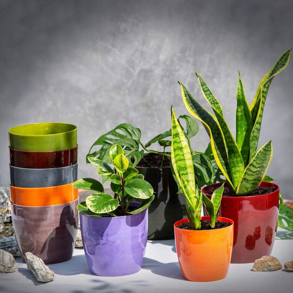 Coprivaso KADAX da 16 cm, vaso da fiori in marmo marrone, supporto per fiori da soggiorno