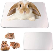 Pavimento di Raffreddamento per Hamster Matrice di Ghiaccio - Accessorio per Hamster 10 x 6 cm / 39 x 24 pollici Pavimento di Raffreddamento