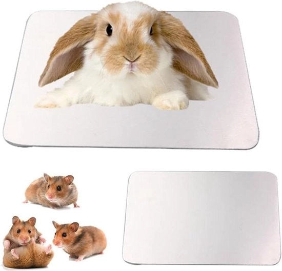 Pavimento di Raffreddamento per Hamster Matrice di Ghiaccio - Accessorio per Hamster 10 x 6 cm / 39 x 24 pollici Pavimento di Raffreddamento